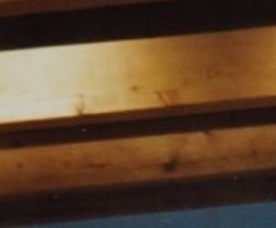 1997: Eine verrückte Familie