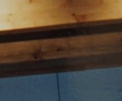 1997: Eine verrückte Familie